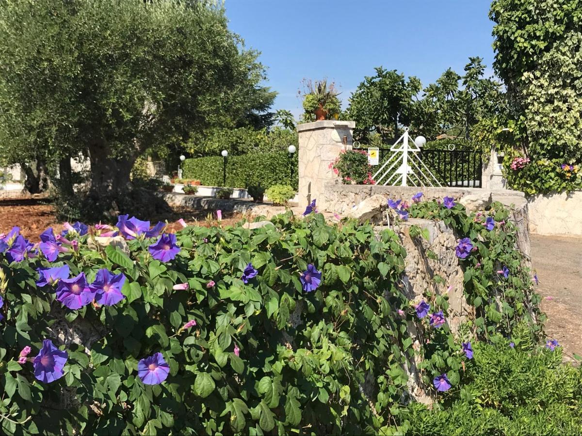 מלון לוקורוטונדו Il Trullo Di Nonno Angelo San Marco מראה חיצוני תמונה