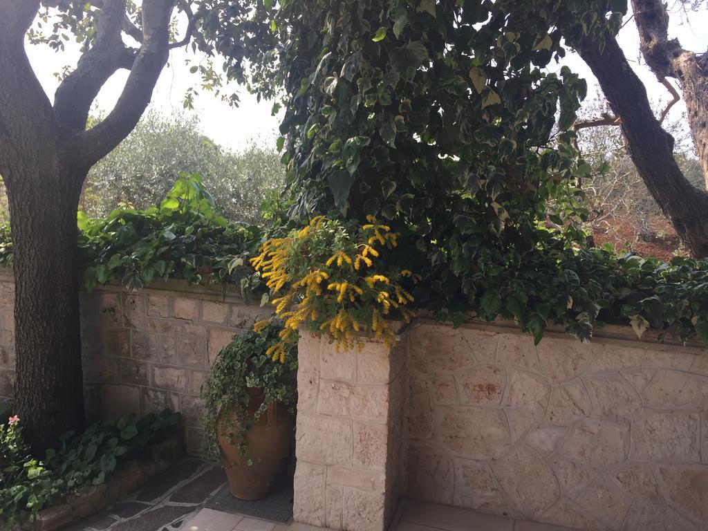 מלון לוקורוטונדו Il Trullo Di Nonno Angelo San Marco מראה חיצוני תמונה