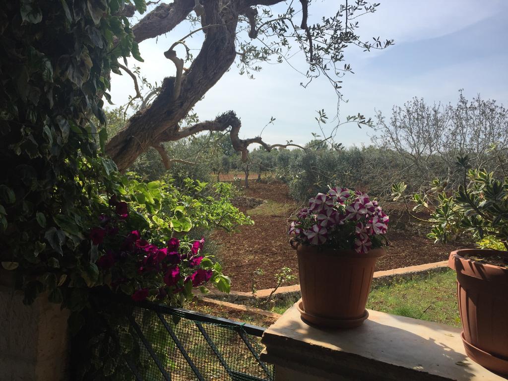 מלון לוקורוטונדו Il Trullo Di Nonno Angelo San Marco מראה חיצוני תמונה