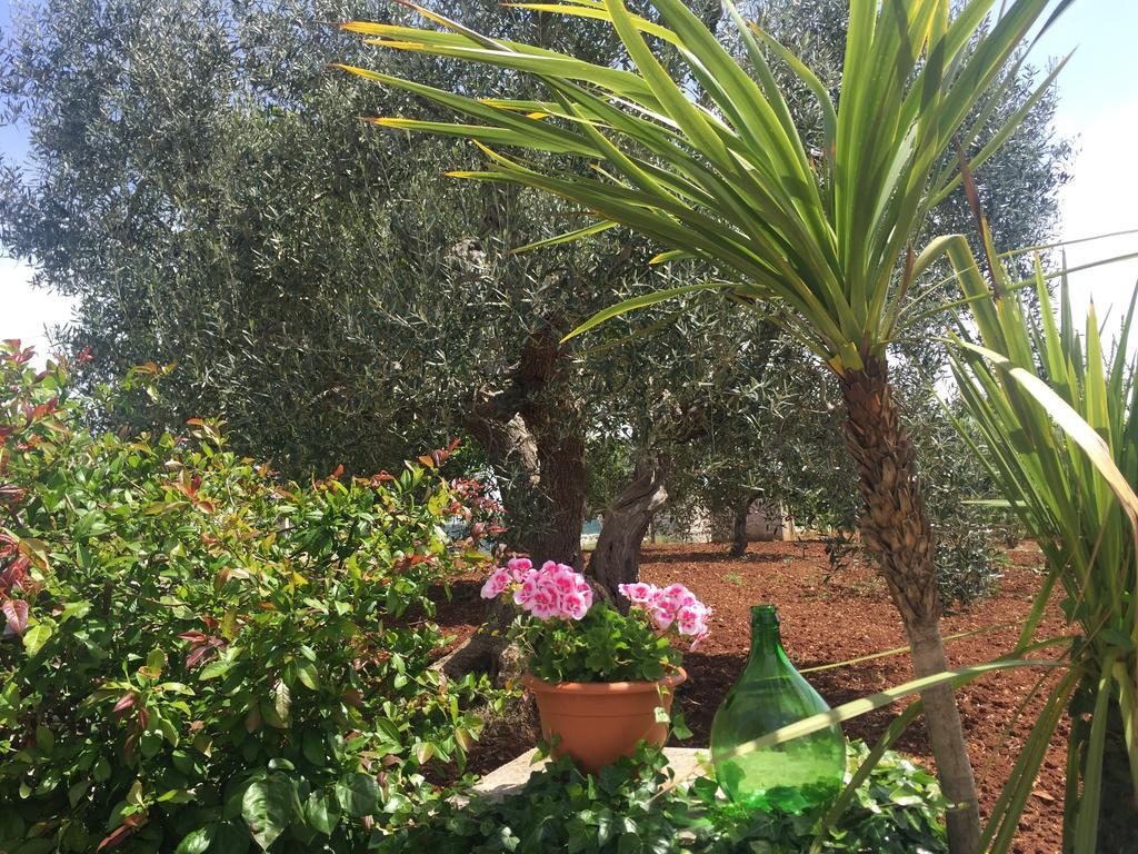 מלון לוקורוטונדו Il Trullo Di Nonno Angelo San Marco מראה חיצוני תמונה