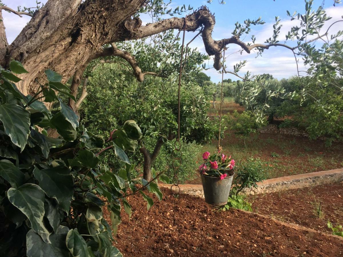 מלון לוקורוטונדו Il Trullo Di Nonno Angelo San Marco מראה חיצוני תמונה